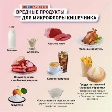 Привычный продукт помог восстановить защиту кишечника