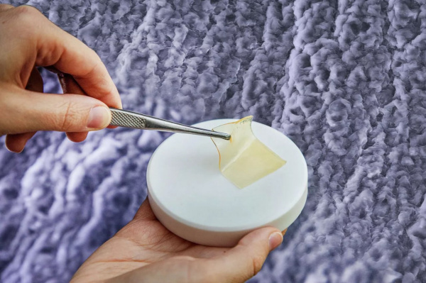 Preview Нижегородские ученые разработали ранозаживляющие покрытия из коллагена трески