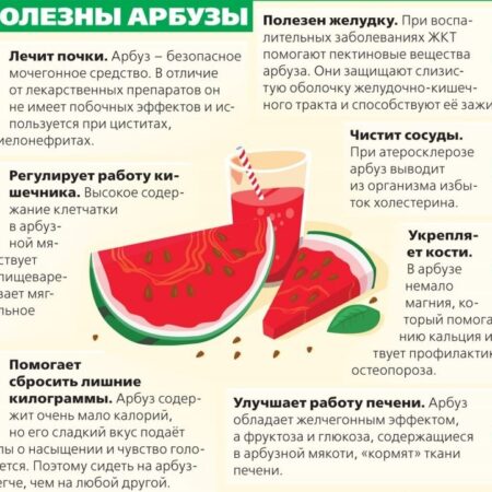 Арбуз — простой и естественный путь к здоровым сосудам
