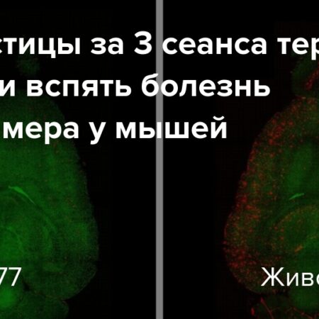 Революция в лечении: Наночастицы обращают вспять болезнь Альцгеймера