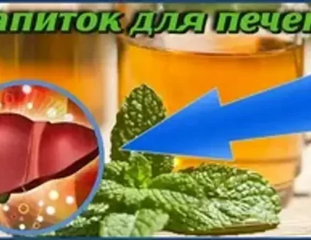 Скрытая угроза для печени: Как популярные напитки способствуют развитию заболеваний