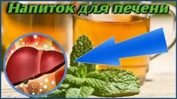 Preview Скрытая угроза для печени: Как популярные напитки способствуют развитию заболеваний