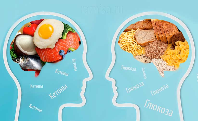 Preview Кетогенная диета: новое научное открытие для здоровья мозга