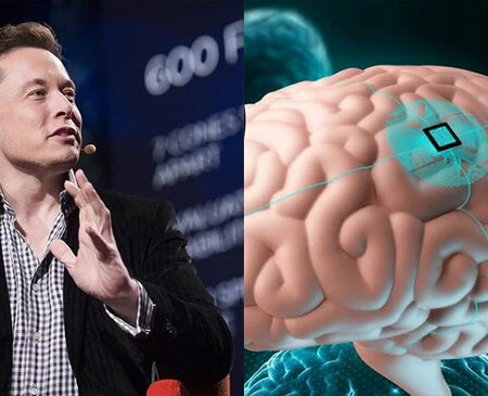 Тысячи людей стремятся получить нейрочип от Илона Маска