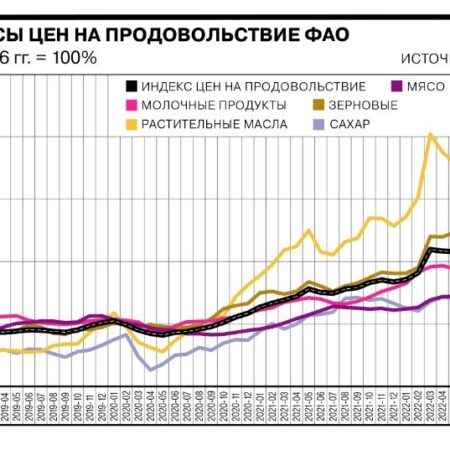Динамика цен в России: инфляция и изменения стоимости продуктов в сентябре