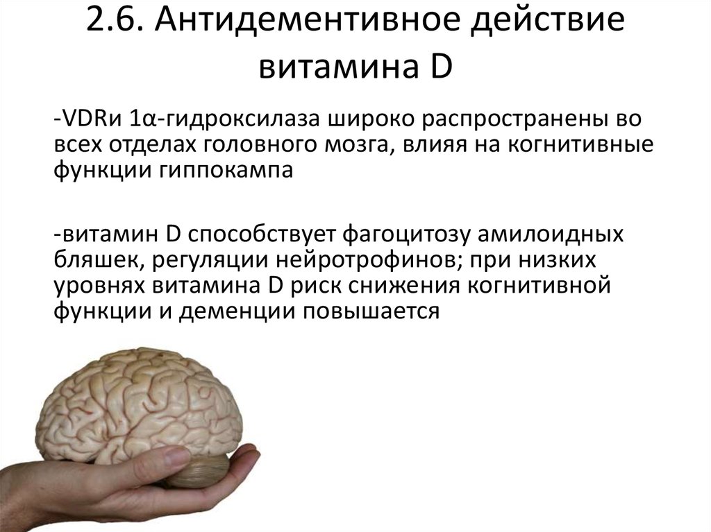 Preview Неожиданная Защитная Роль Витамина D3 для Здоровья Мозга