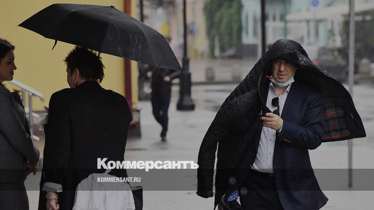 Preview Онлайн-дискуссия РЭШ: Финансовые иллюзии и защита от мошенничества