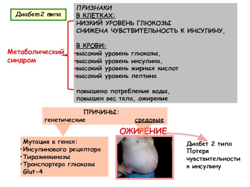 Preview Мутации в клетках крови: неожиданная причина ожирения и диабета