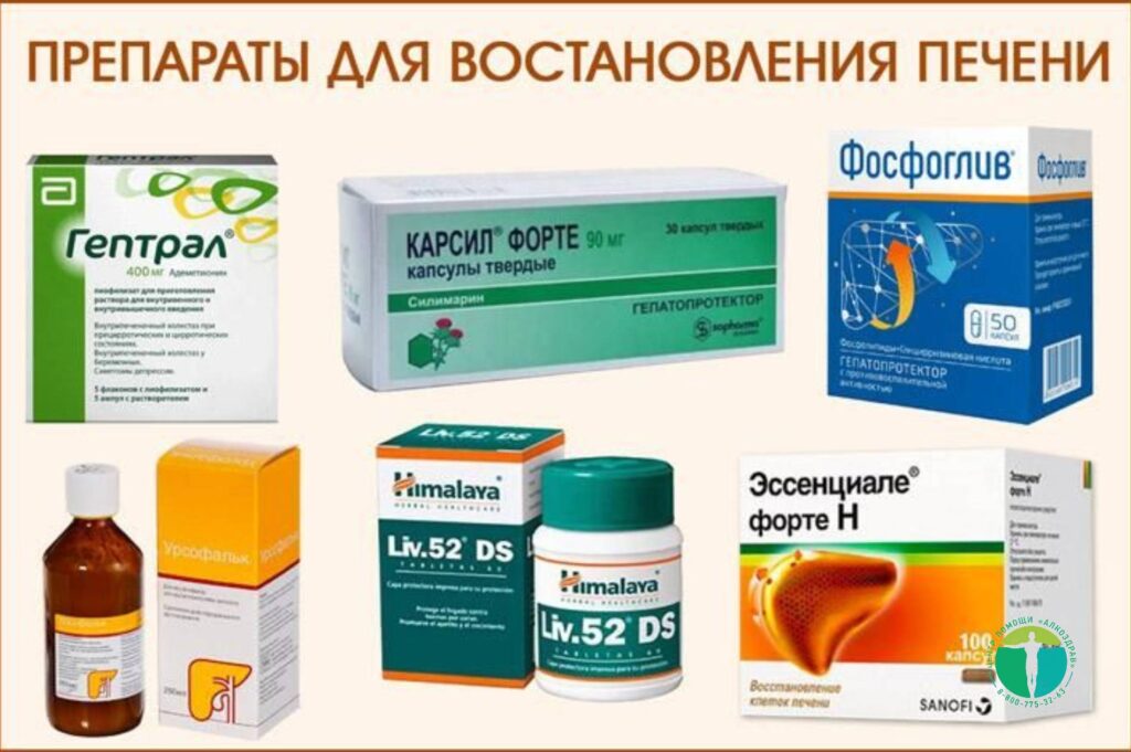 Preview Препараты для сердца могут эффективно бороться с раком печени