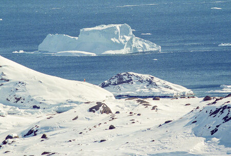 Университет Макгилла: Грядущая климатическая катастрофа угрожает прибрежным городам