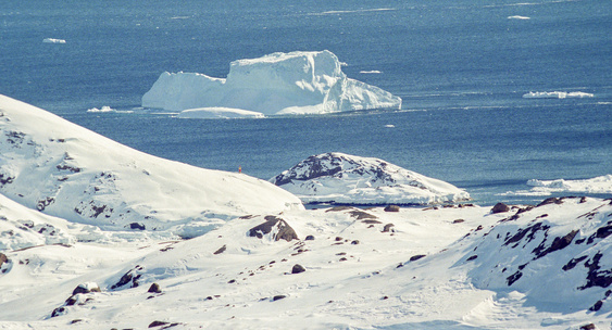 Университет Макгилла: Грядущая климатическая катастрофа угрожает прибрежным городам