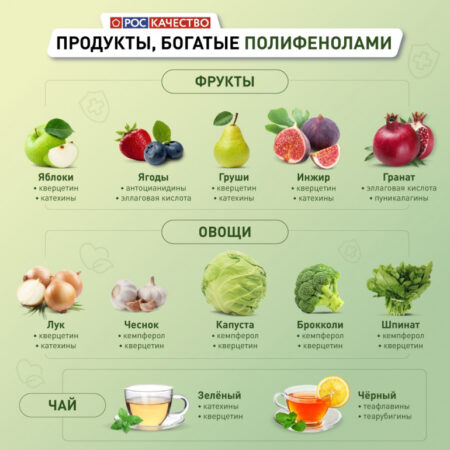 Неожиданная роль полифенолов: растительные соединения в борьбе за здоровое зрение