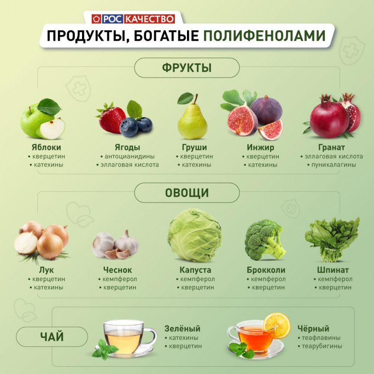 Preview Неожиданная роль полифенолов: растительные соединения в борьбе за здоровое зрение