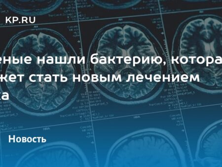 Бактерия из кишечника лягушки стала мощным оружием против рака
