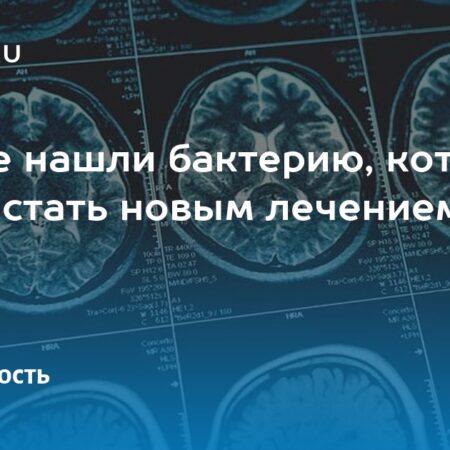 Бактерия из кишечника лягушки стала мощным оружием против рака
