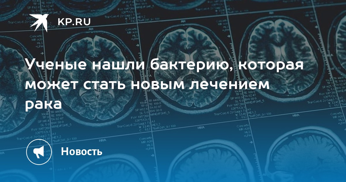 Preview Бактерия из кишечника лягушки стала мощным оружием против рака
