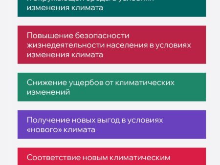Адаптация как ключ к устойчивости: проектный подход в климатической политике России