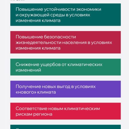 Адаптация как ключ к устойчивости: проектный подход в климатической политике России
