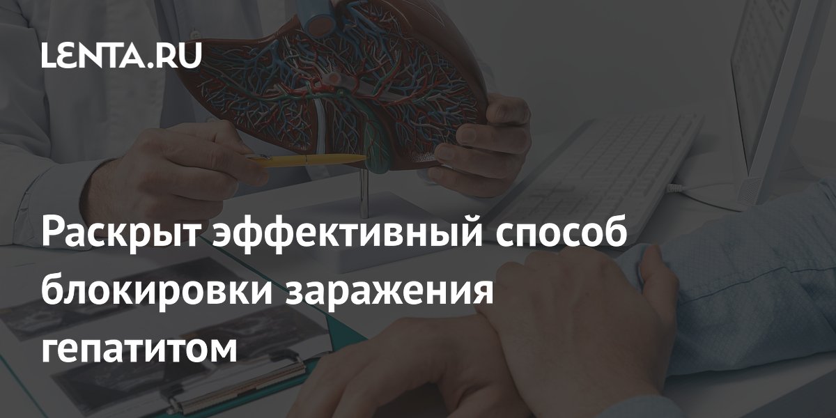 Preview Блокировка гепатита B: Ученые обнаружили белок, предотвращающий заражение