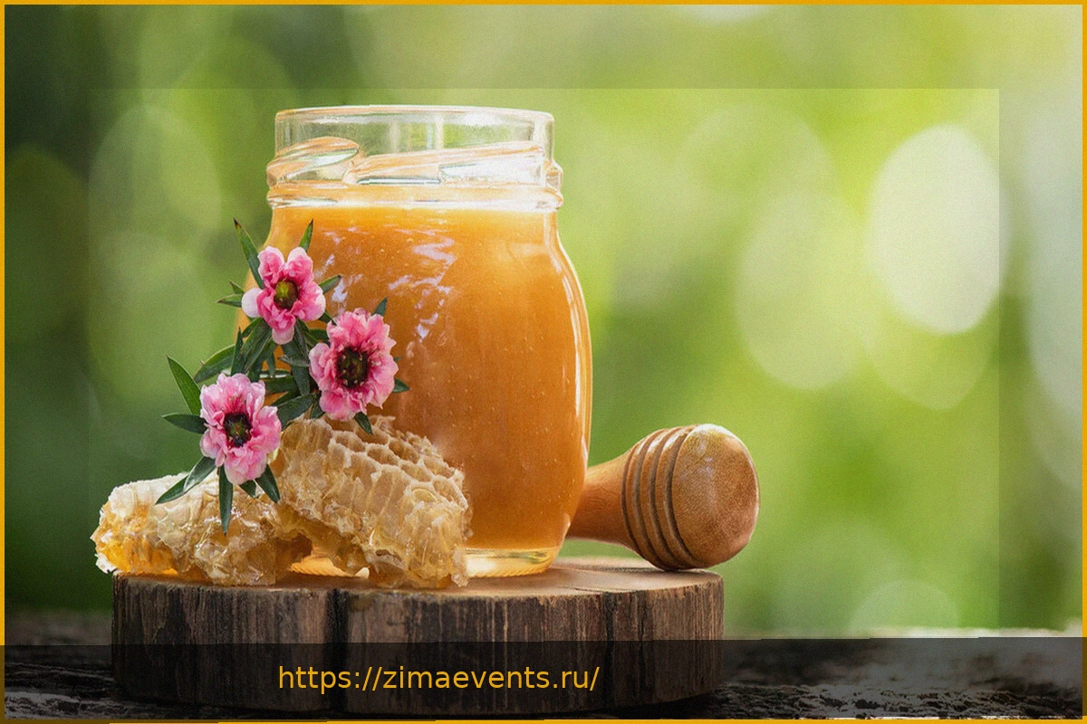 Preview Польза меда манука для здоровья
