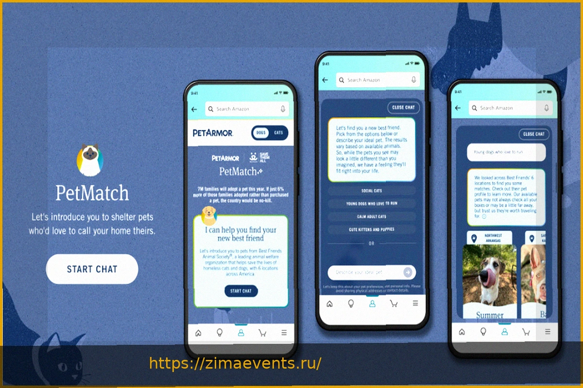 Preview ИИ-инструмент Amazon помогает найти дом для бездомных животных