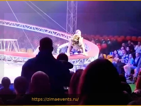 Тигр выпрыгнул из манежа на зрителей в цирке