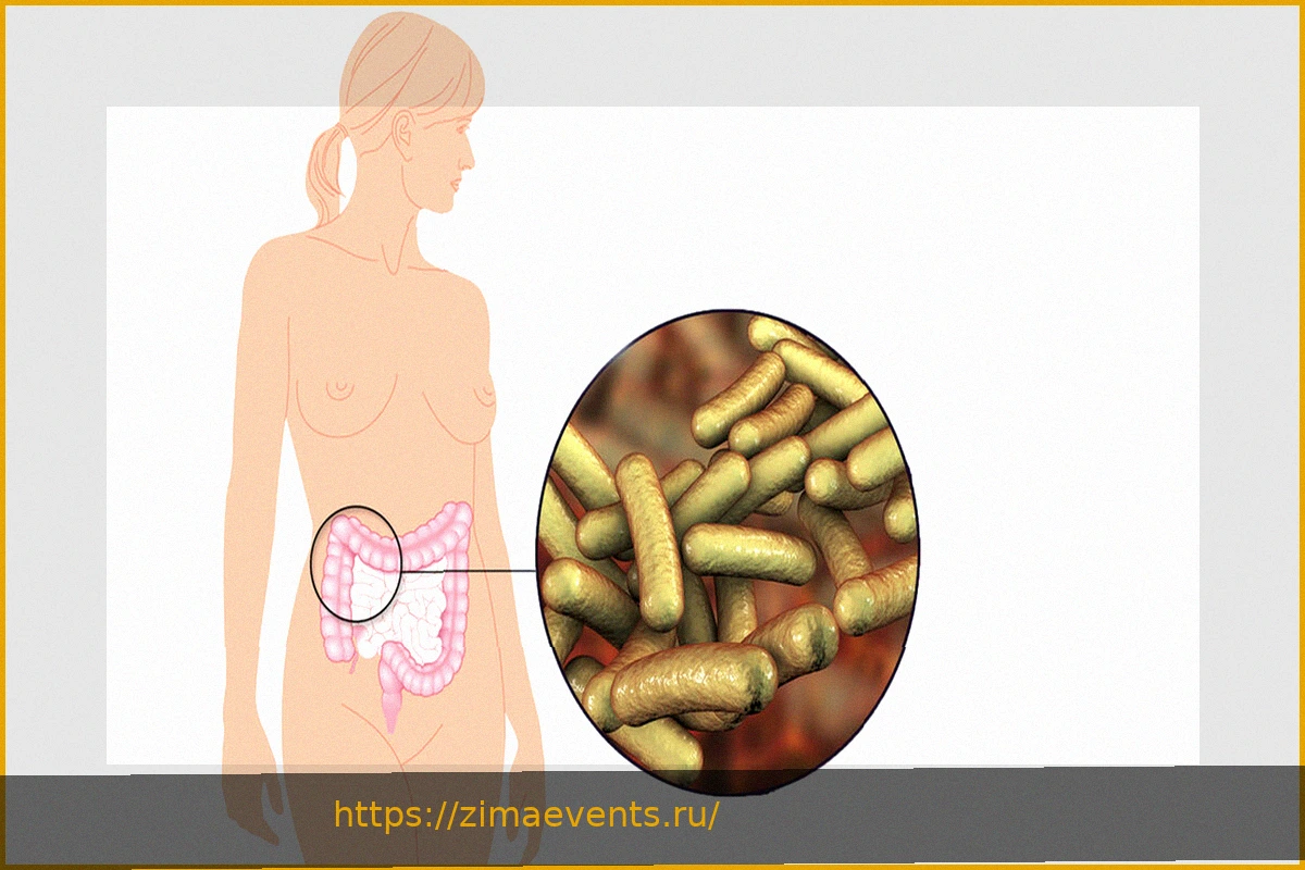 Preview Что помогает при шигеллезе? Симптомы, диагностика и лечение