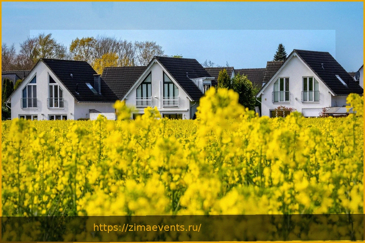 Preview Почему строительство в Германии стало невыгодным: подкаст о экономике