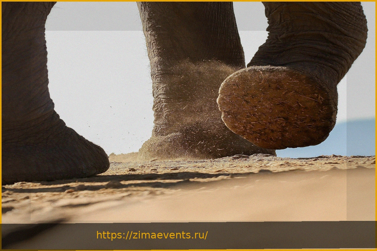 Preview Смертельное нападение слона в Таиланде: предупреждение об опасностях муста