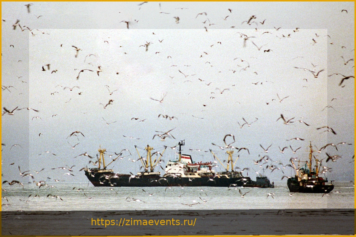 Preview Судно с россиянами задержано в Намибии из-за трудового спора