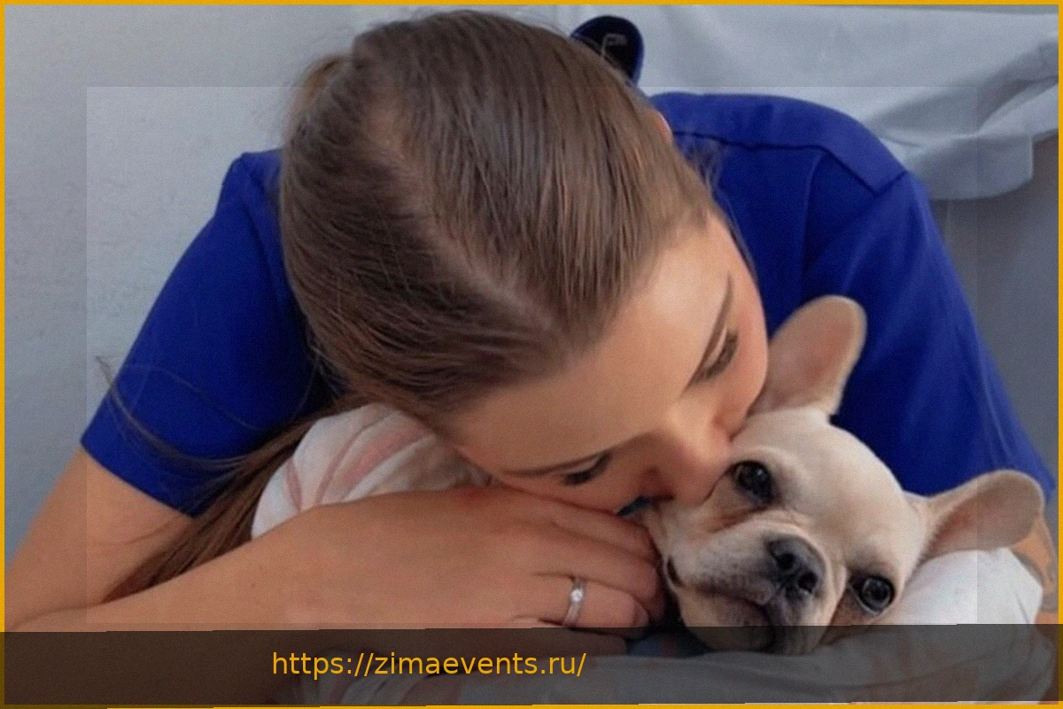 Preview Собака случайно съела наркотики