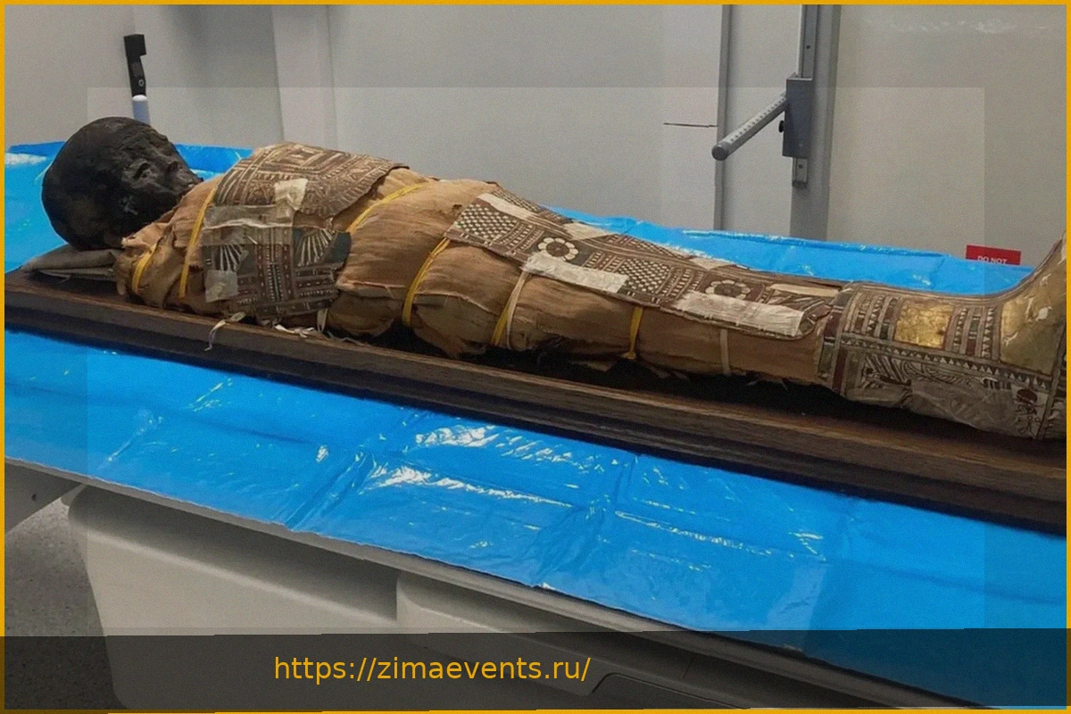 Preview В древней мумии ребенка обнаружен загадочный предмет