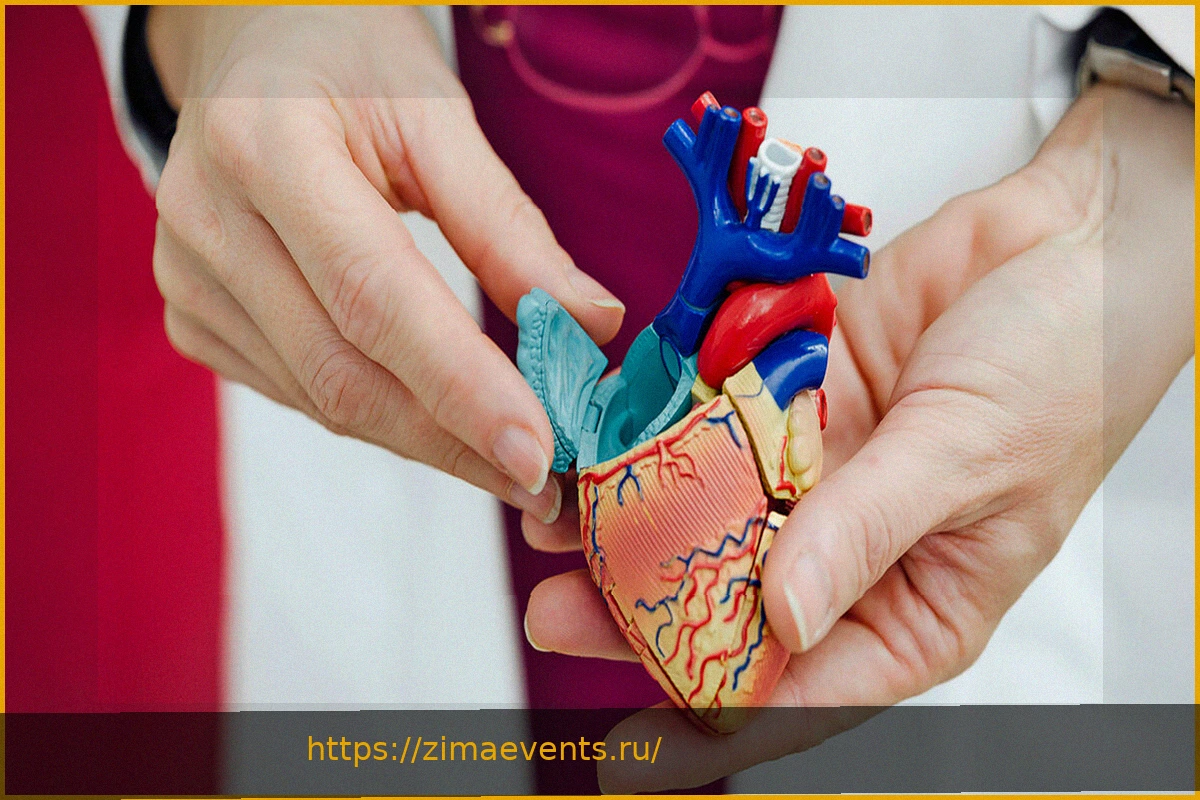 Preview Как современная медицина спасает детей с врожденными пороками сердца