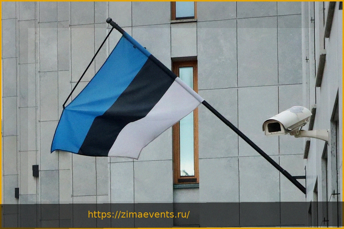 Preview Эстония предложила новый способ помочь Украине за счет России