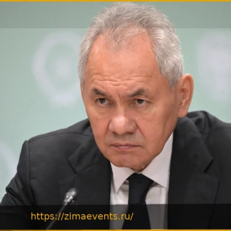 Шойгу: Украинские власти мешают мирной инициативе по Украине